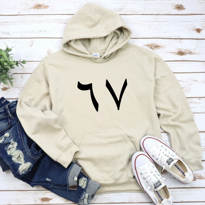 67 Hoodie