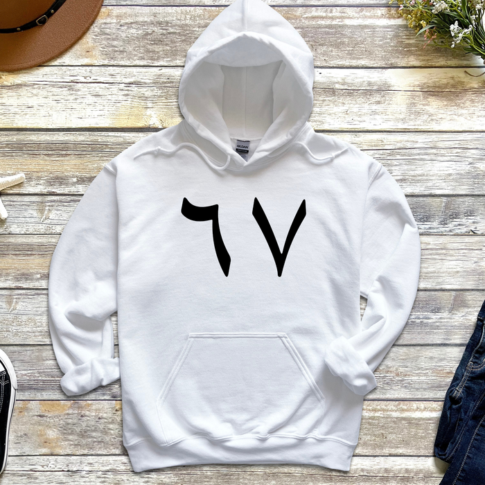 6 7 Arabic Numerals Hoodie