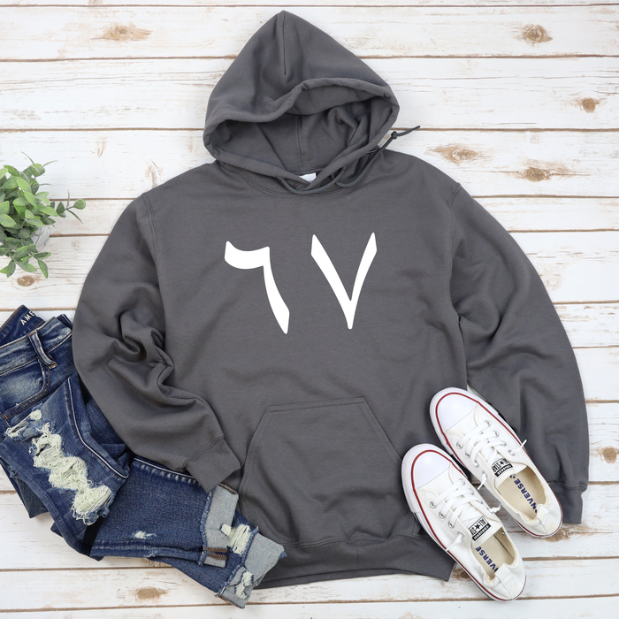 6 7 Arabic Numerals Hoodie